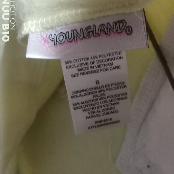 Thrifted SIZE-6 YOUNGLAND LIGHT GREEN APPLE and WHITE GINGHAM BUTTERFLY DRESS - Picture 2 of 7